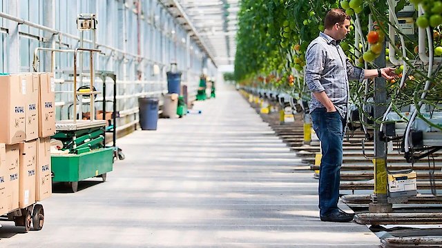 Watch Eat: The Story of Food Online