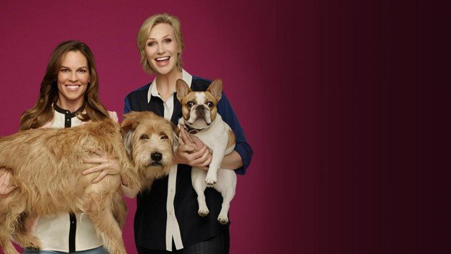 Watch Cause For Paws Online
