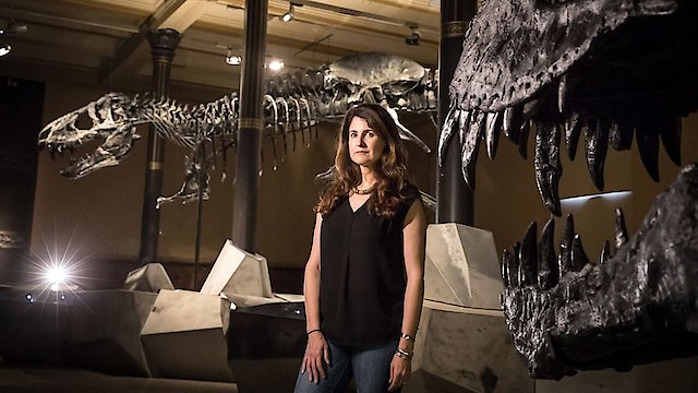 Watch The Amazing World of Dinosaurs Online