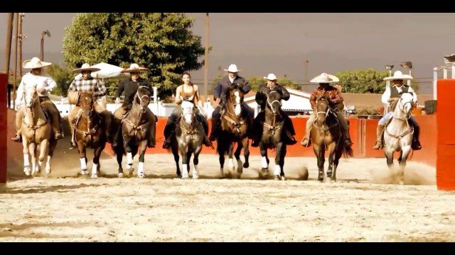 Watch Los Cowboys Online