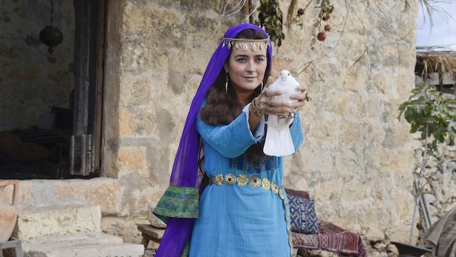 Watch The Dovekeepers Online