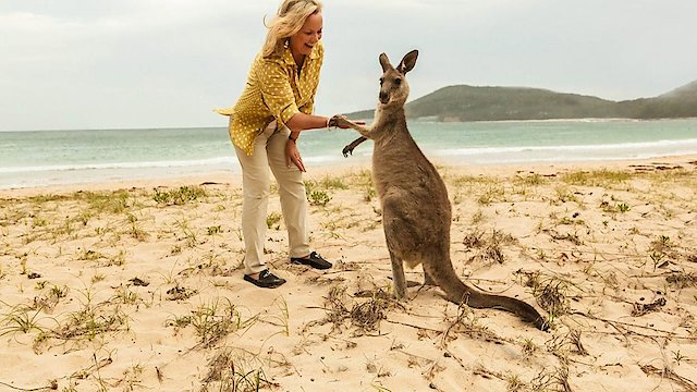 Watch Taste of Australia Online