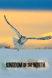 Kingdom of the North poster