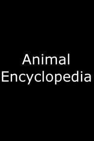 Animal Encyclopedia