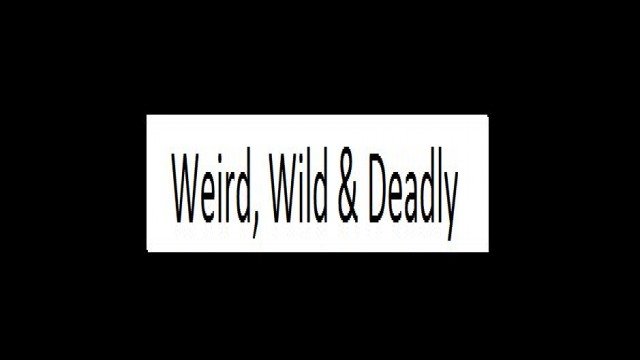 Watch Weird, Wild & Deadly Online