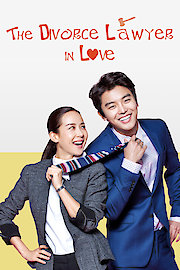 A Divorce Lawyer in Love