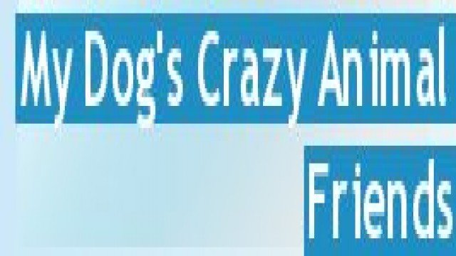 Watch My Dog's Crazy Animal Friends Online