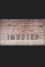 The Other Side of Genius poster