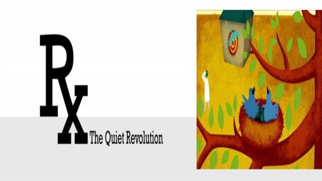 Watch Rx: The Quiet Revolution Online