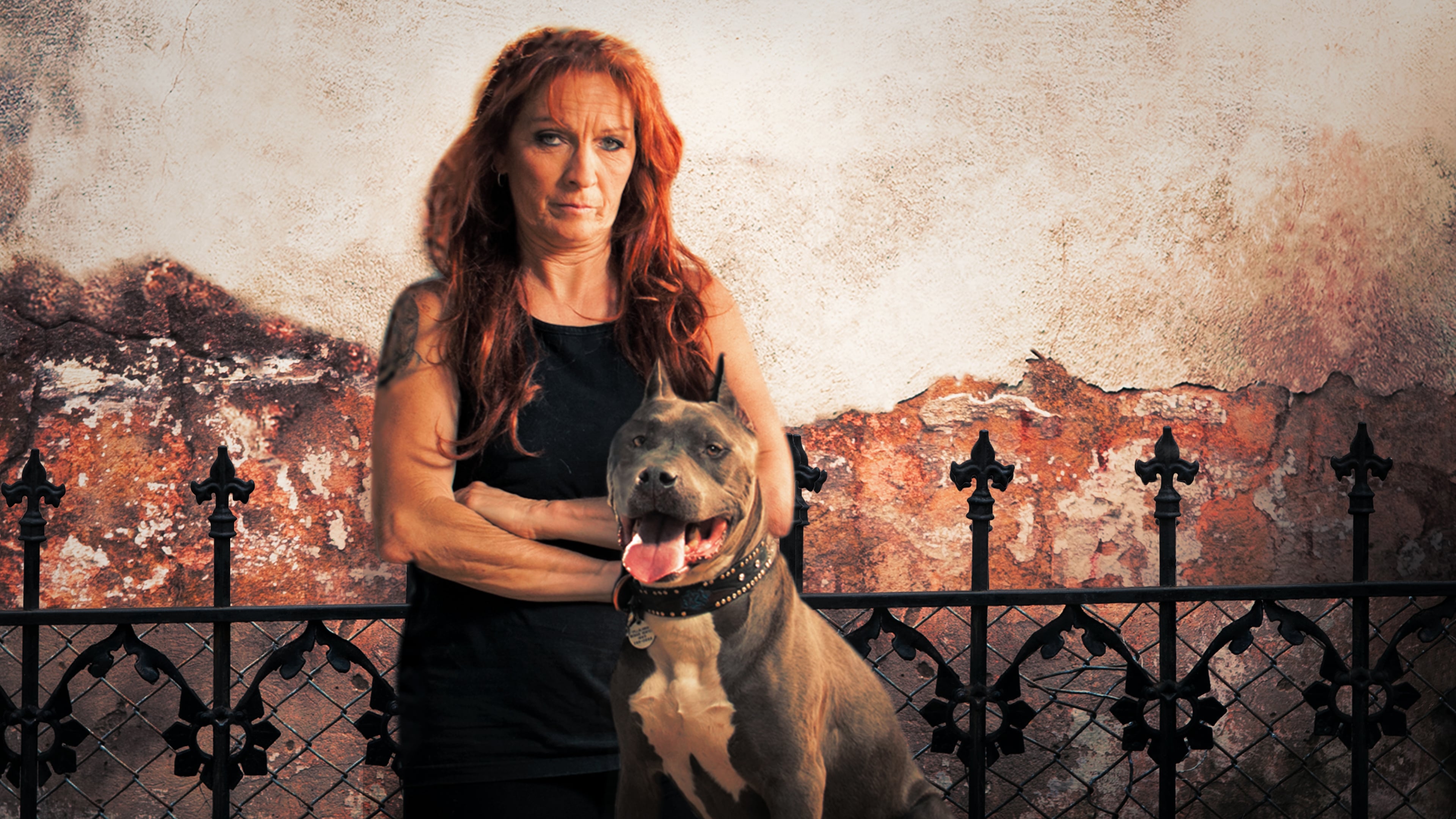 Watch Pit Bulls and Parolees Online
