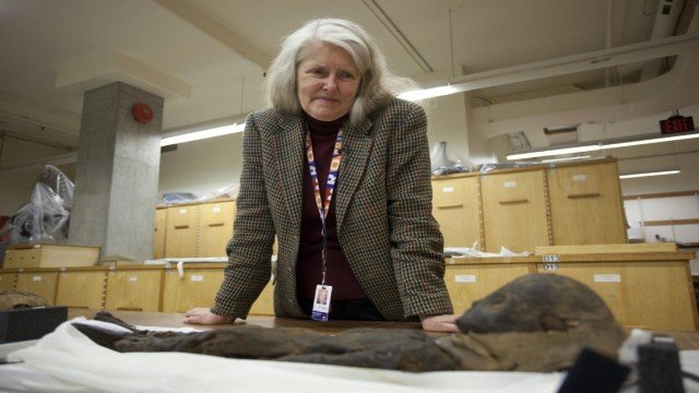 Watch Museum Diaries Online