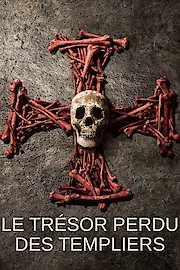 Pirate Treasure of the Knights Templar poster