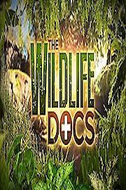 The Wildlife Docs poster