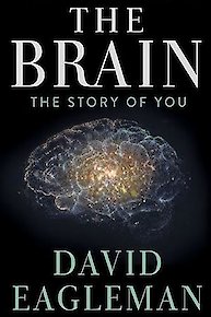 The Brain with David Eagleman
