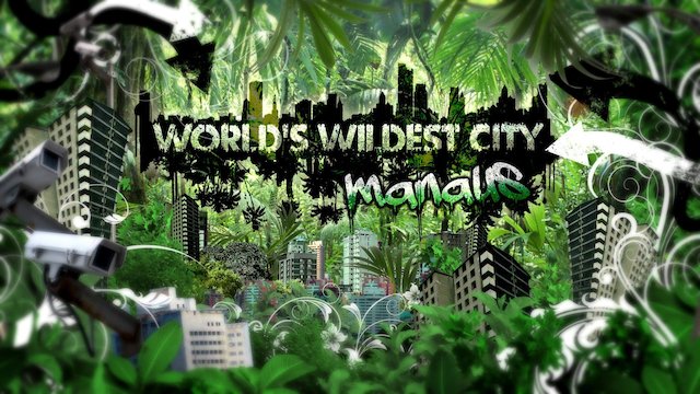 Watch World's Wildest City Online