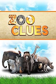 Zoo Clues