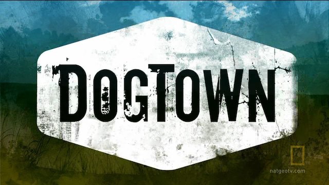 Watch DogTown Online