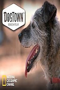 DogTown