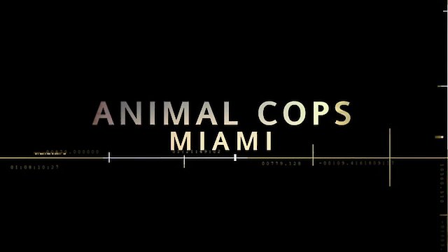 Watch Animal Cops: Miami Online