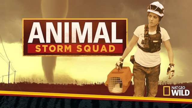 Watch Animal Storm Squad Online