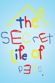 The Secret Life Of Pets poster