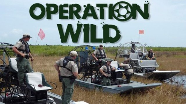 Watch Operation Wild Online