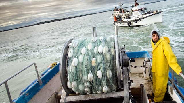 Watch Bristol Bay Brawl Online