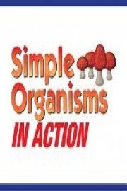 Simple Organisms in Action poster