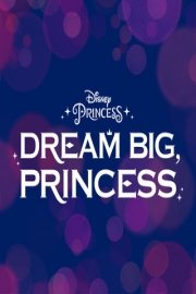 Dream Big Princess poster