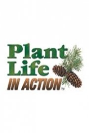 Plant Life in Action poster