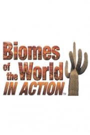 Biomes of the World in Action poster