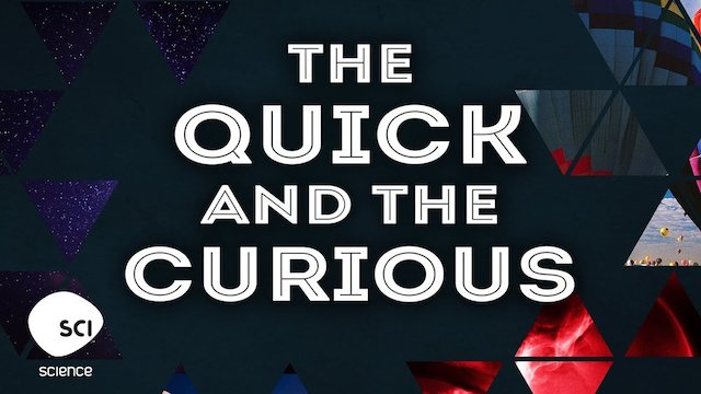 Watch The Quick and the Curious Online