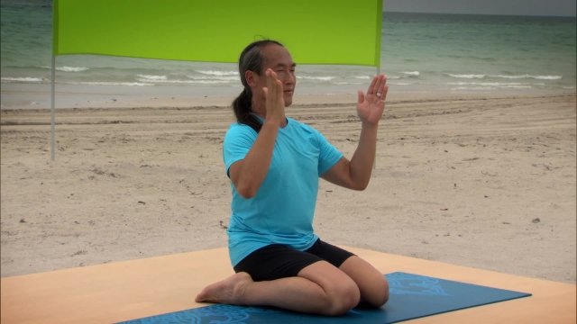 Watch Gaiam: Rodney Yee Best of Yoga Online