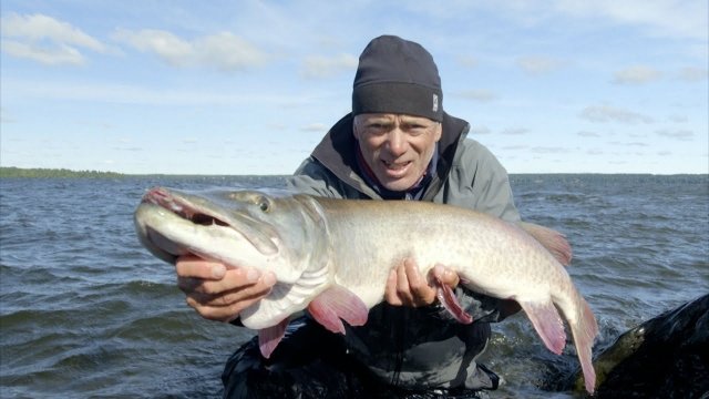 Watch River Monsters: Jeremy's Favorite Catches Online