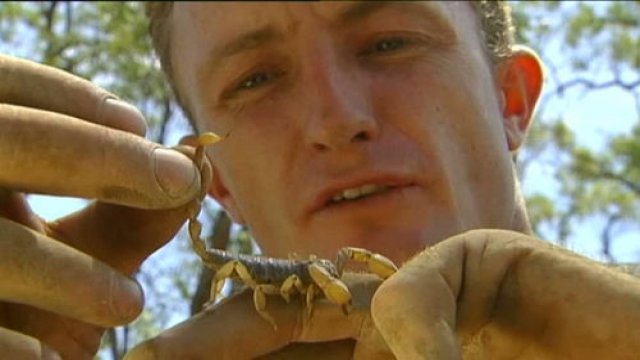 Watch Australia's Deadliest Destinations Online