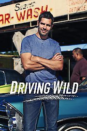 Driving Wild poster