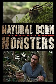 Natural Genius poster