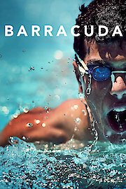 Barracuda
