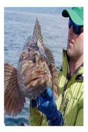 Sport Fishing TV poster