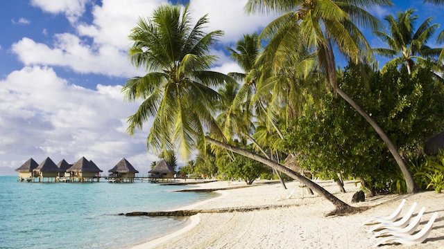 Watch Life's A Beach Online