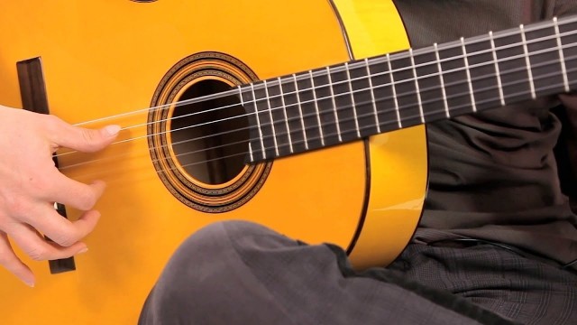 Watch Beginning Guitar Lessons Online