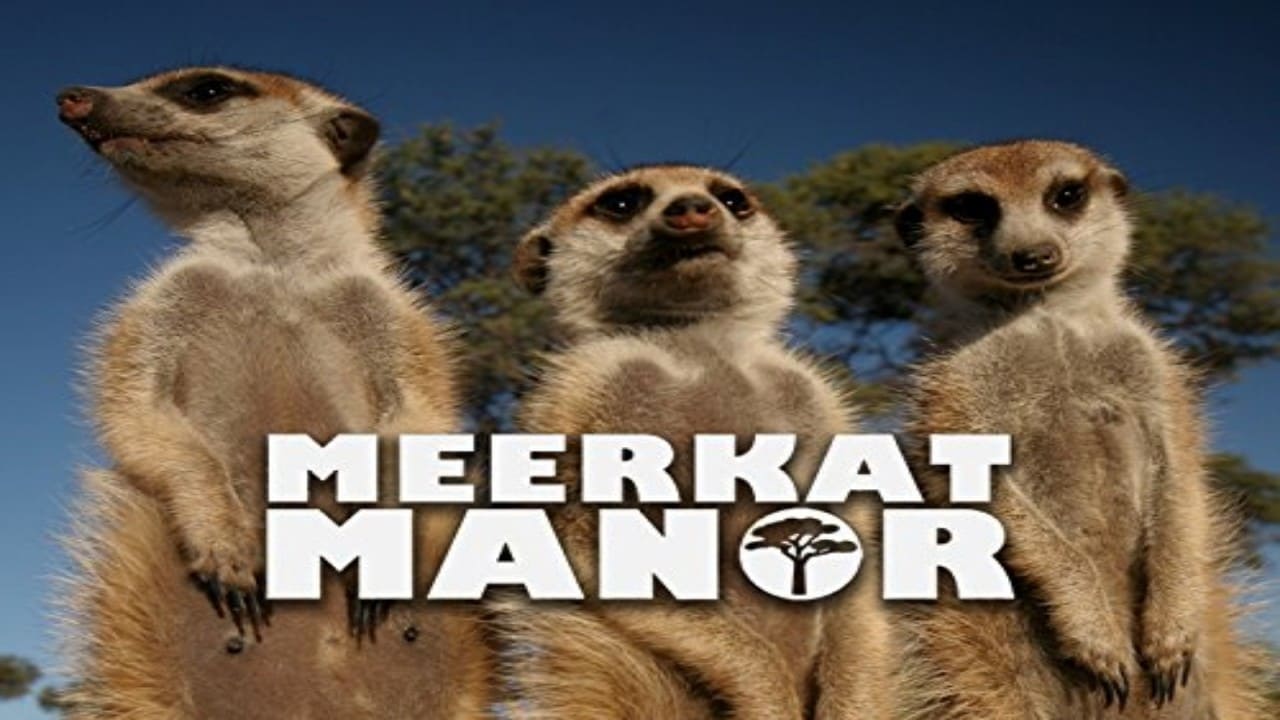 Watch Meerkat Manor Online