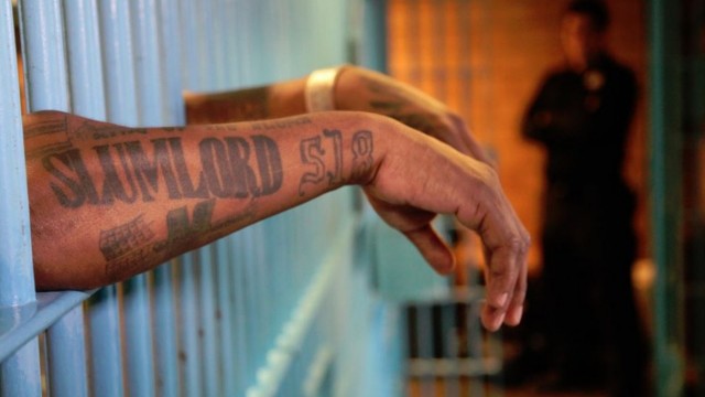 Watch Life on Lockdown Online