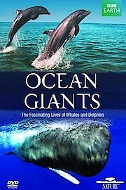 Ocean Giants poster