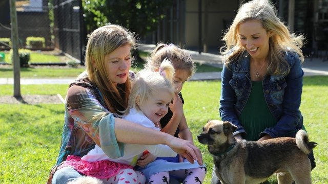 Watch Rescue Me with Dr. Lisa Online