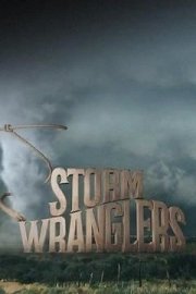 Storm Wranglers poster