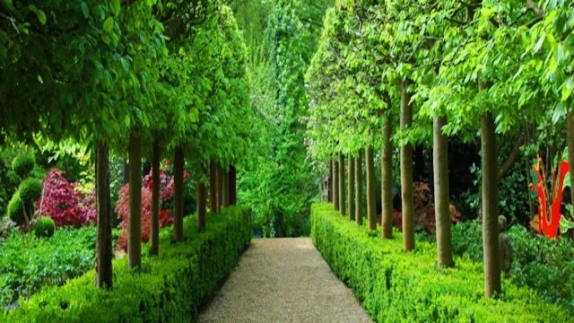 Watch The Great Gardens of England Online