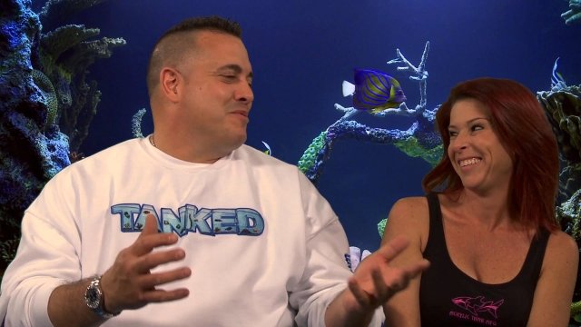 Watch Tanked: Sea-Lebrity Edition Online