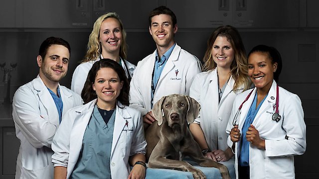 Watch Life at Vet U: Extra Credit Online