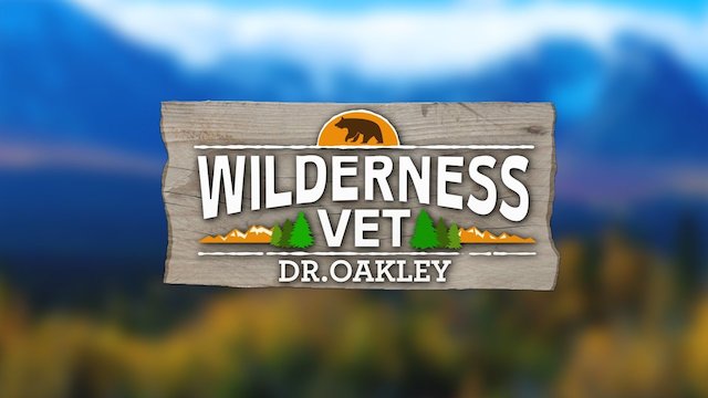 Watch Wilderness Vet Online